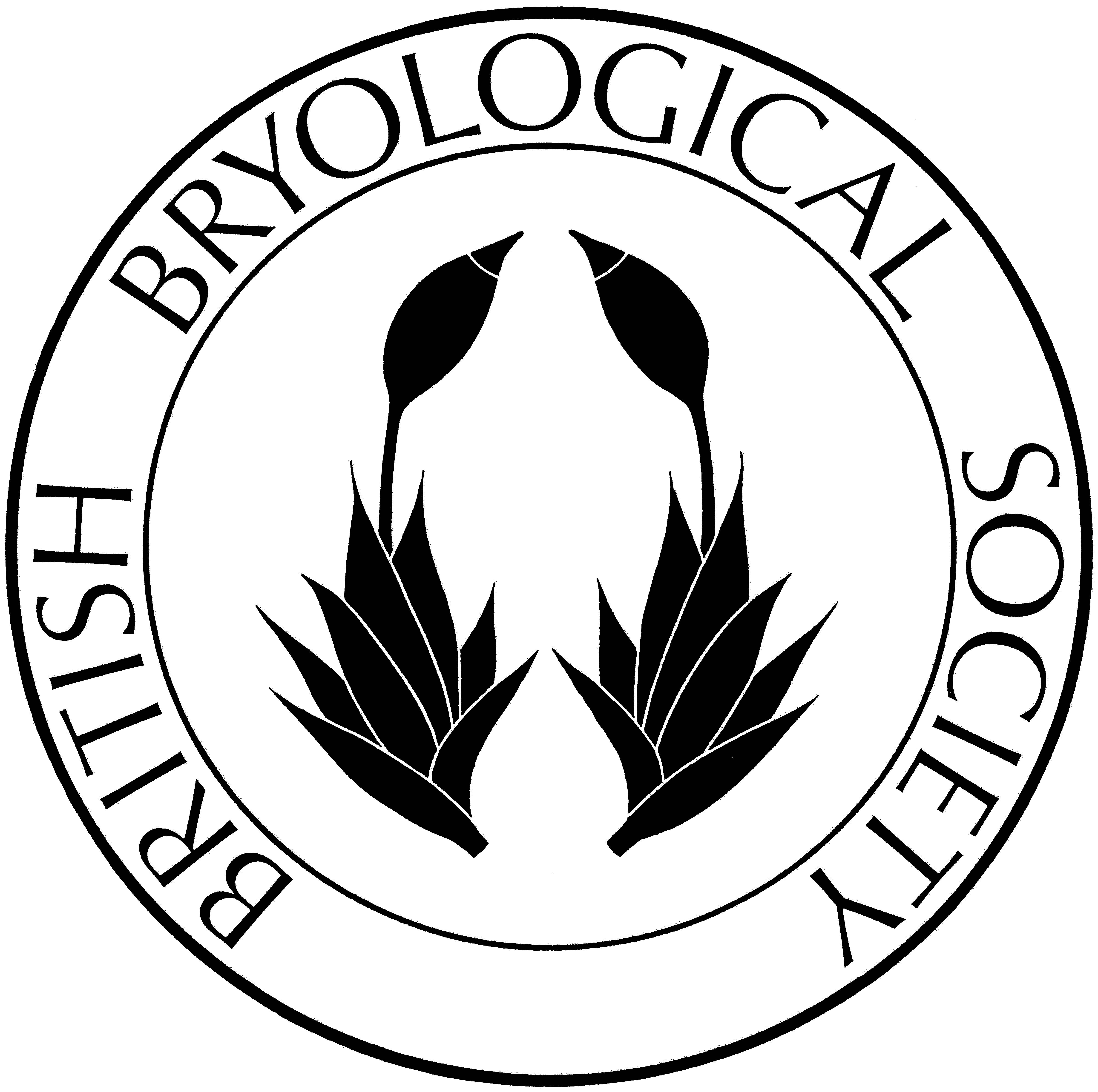 Survey website